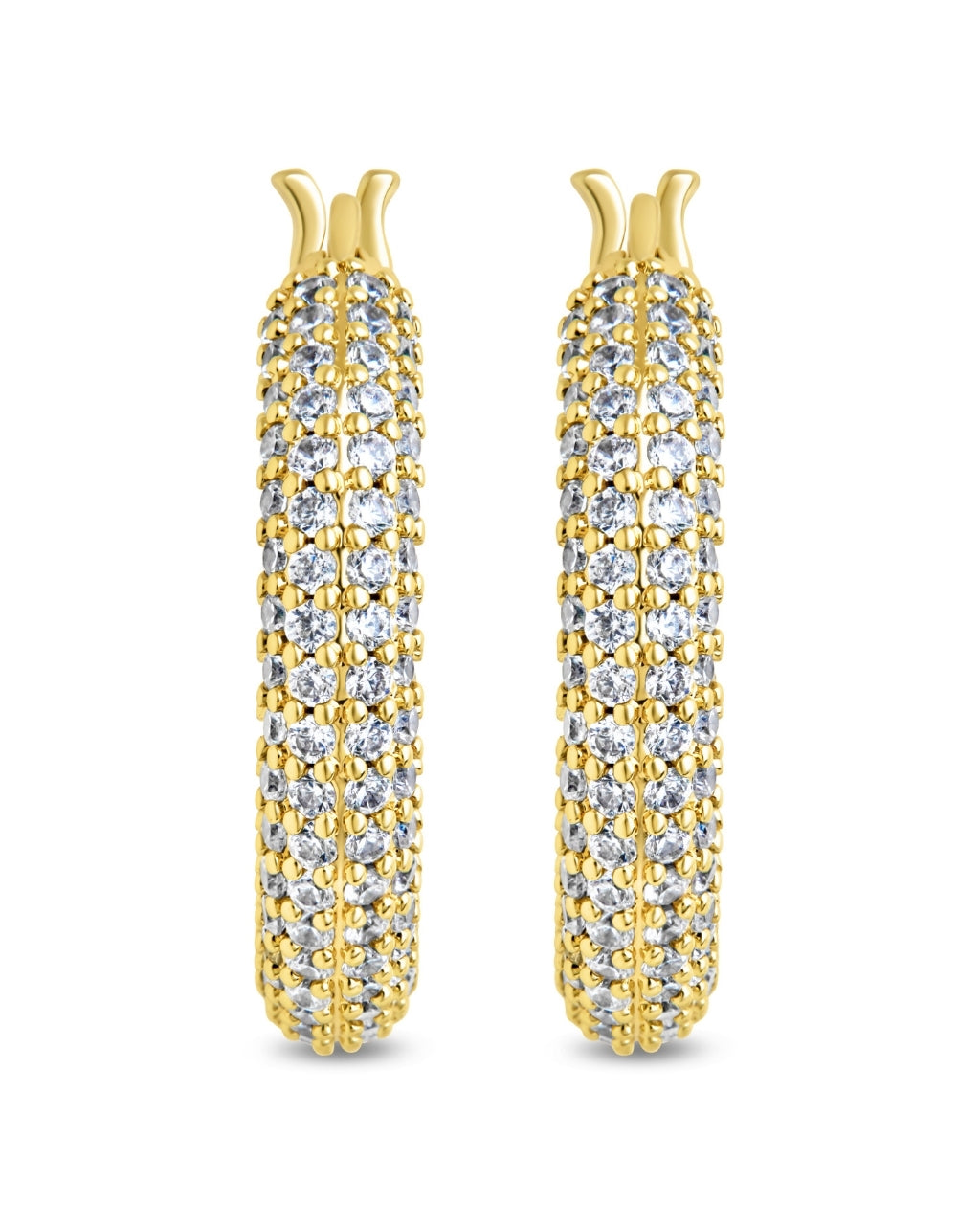 Cordelia CZ Studded Hoop Earrings