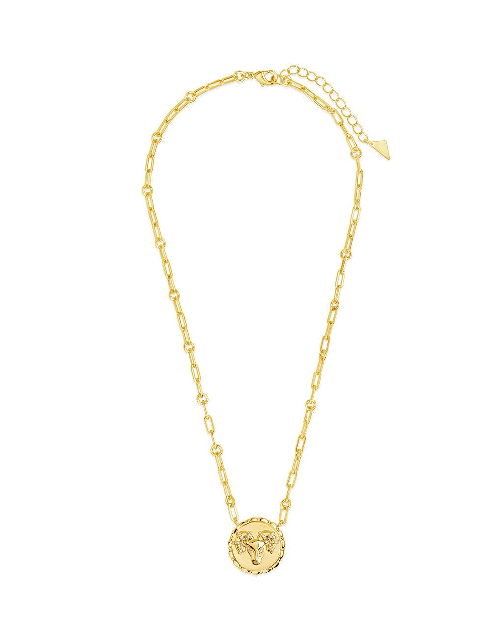Bold Link Zodiac Necklace Necklace Sterling Forever