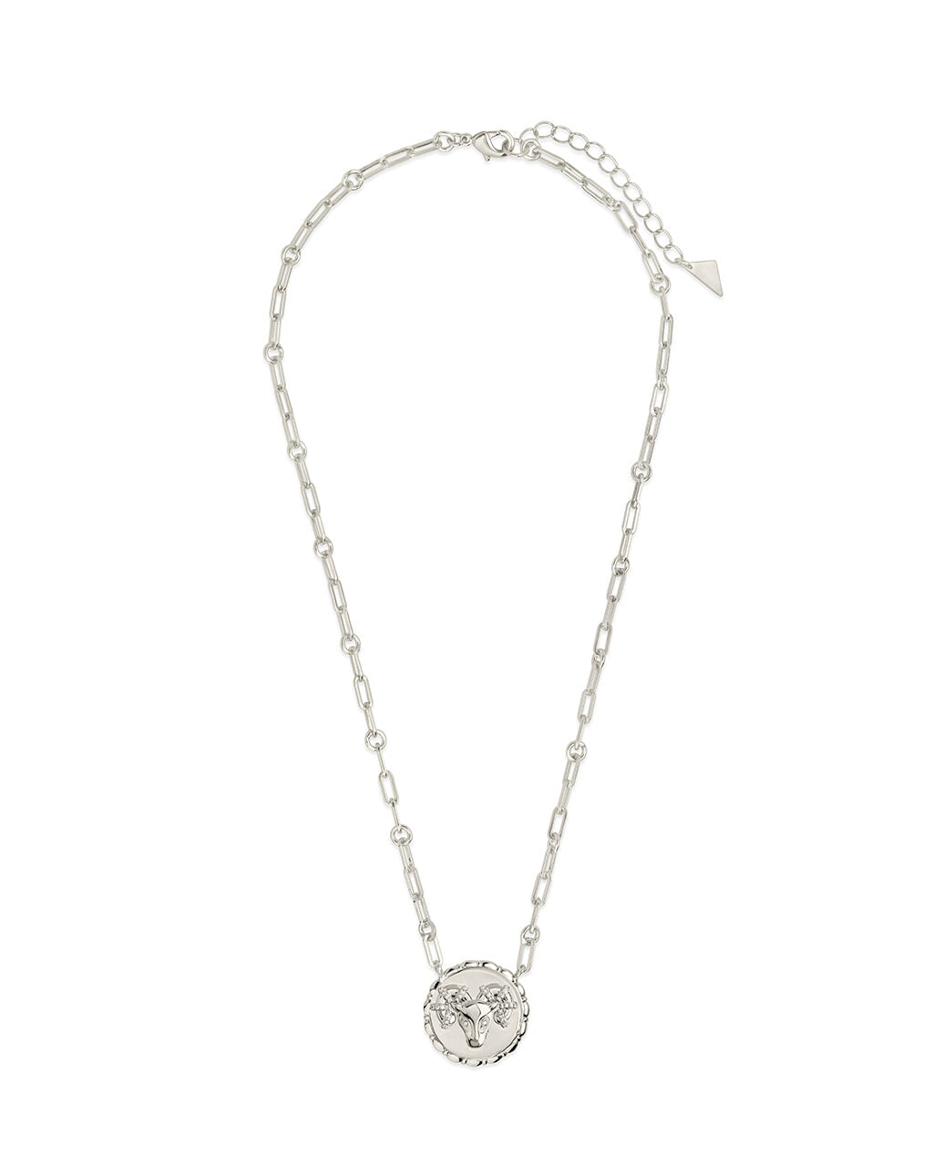 Bold Link Zodiac Necklace Necklace Sterling Forever