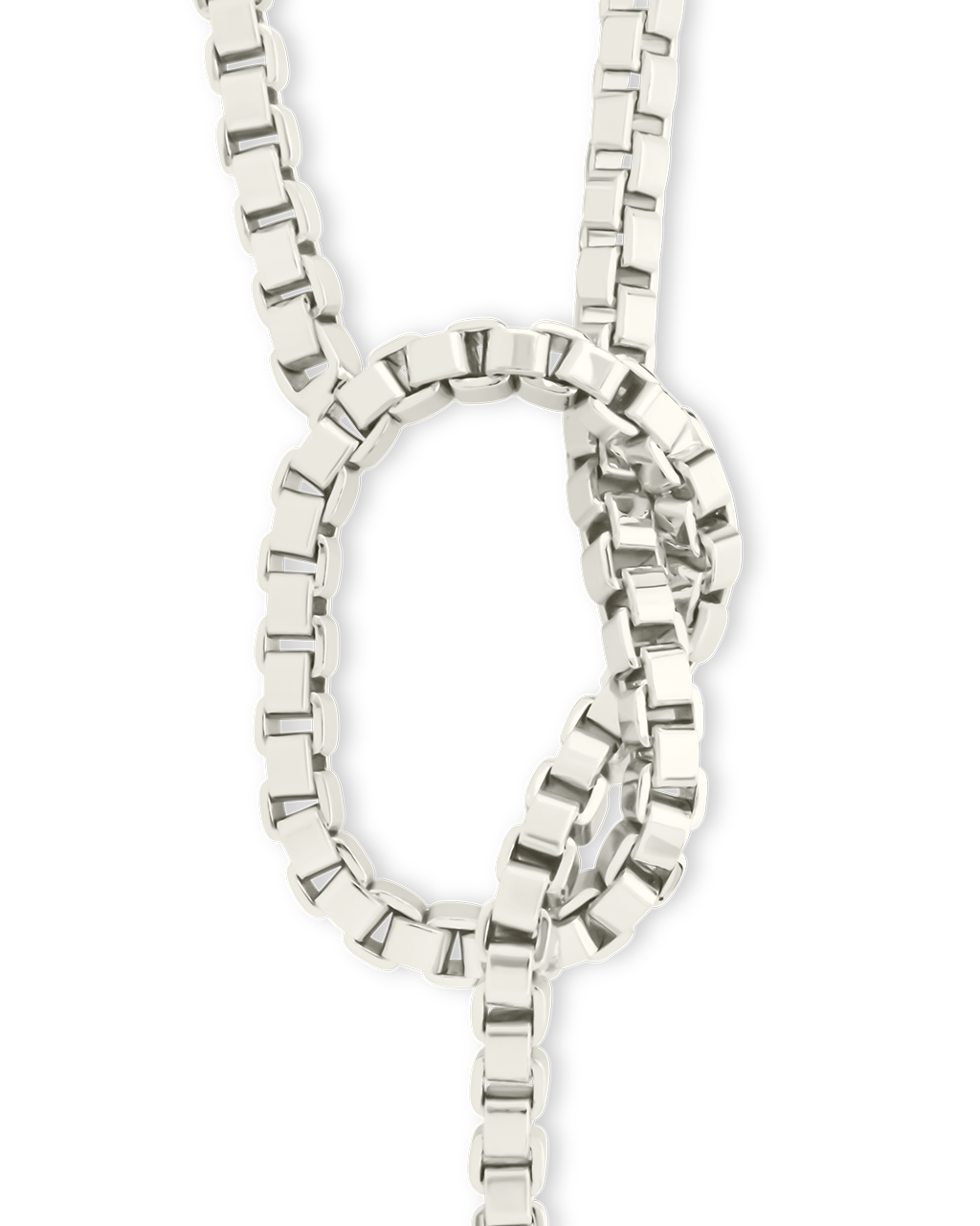 Aster Link Lariat Necklace