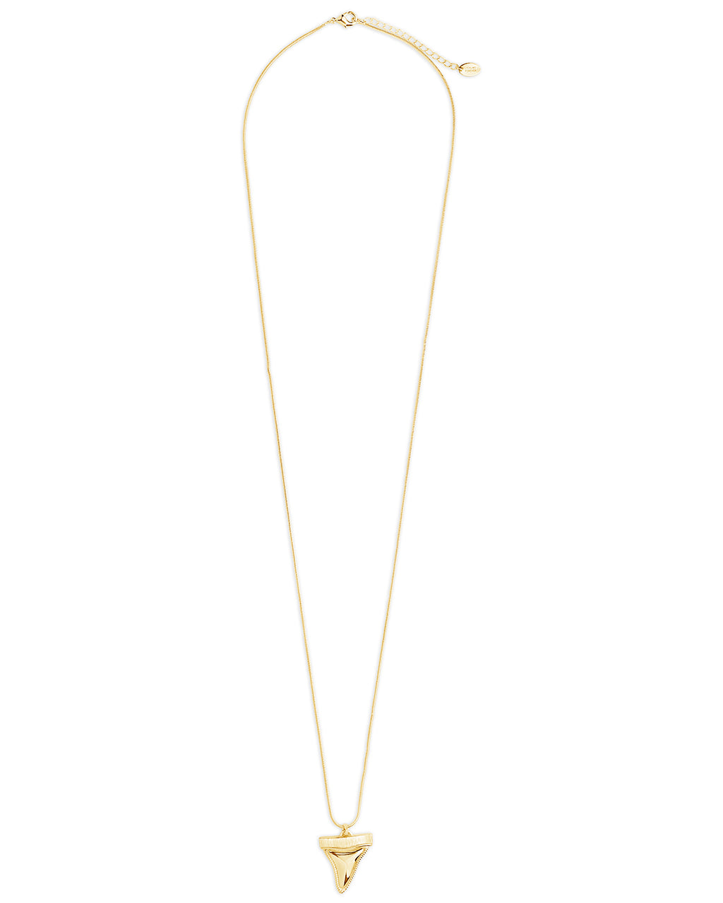 Shark Tooth Pendant Necklace - Sterling Forever