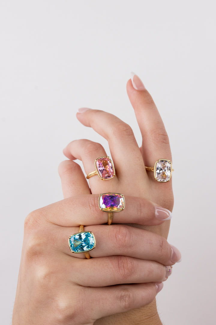 Pick Any Two Minis - $229