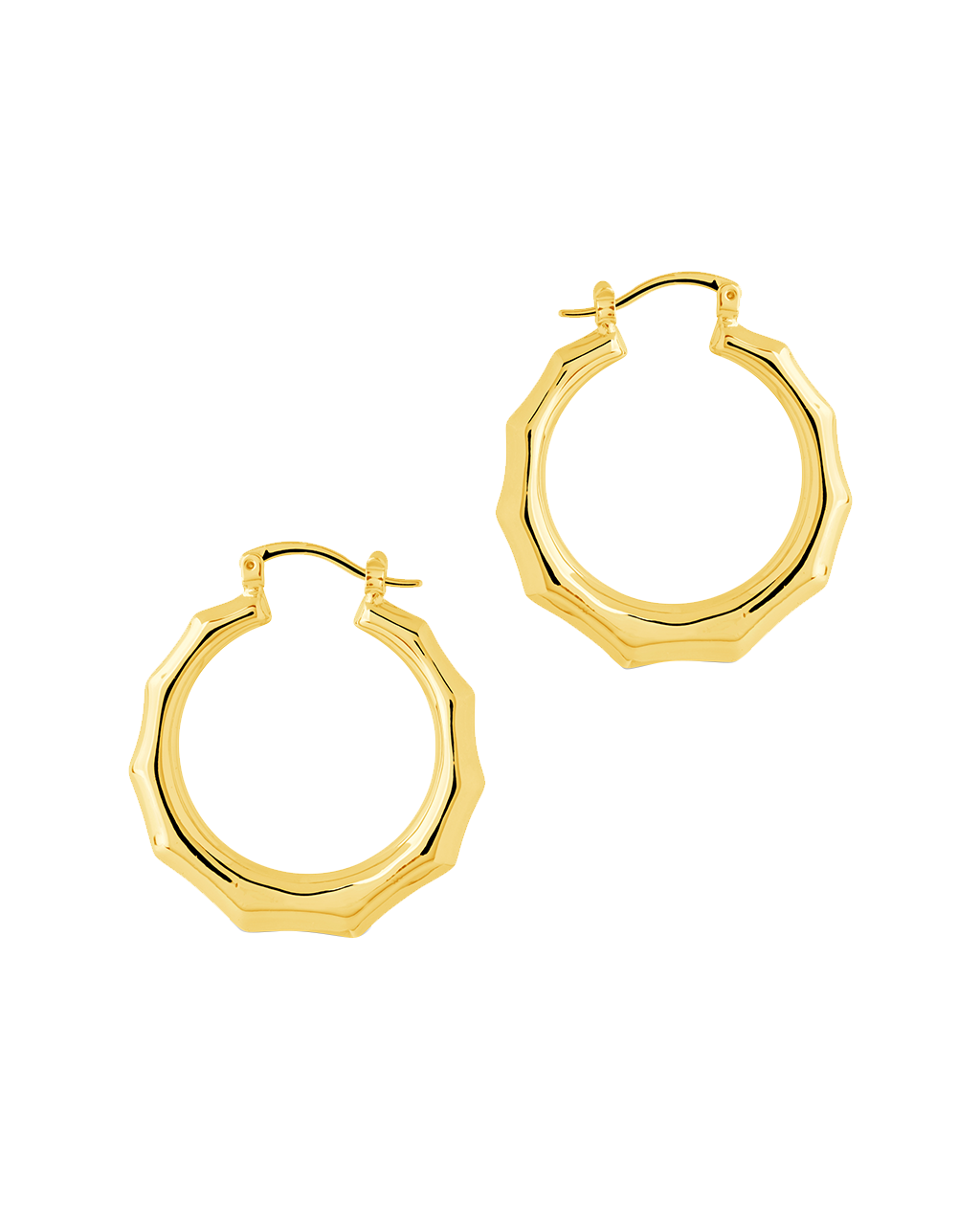 Zia Door Knocker Hoop Earrings