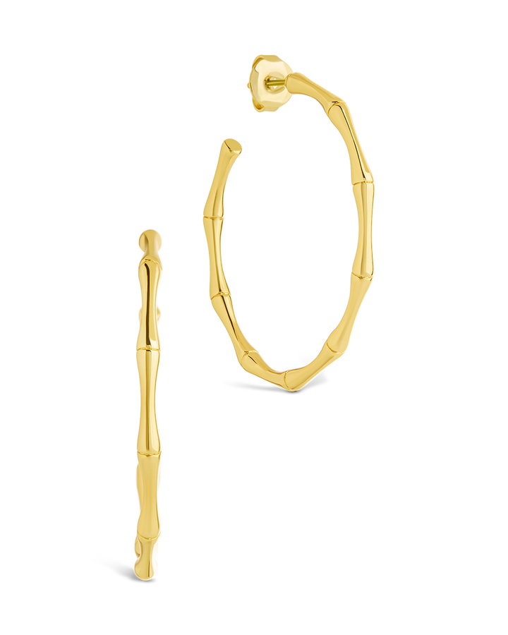 Delphina Circular Texturized Hoop Earrings