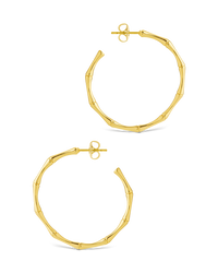 Delphina Circular Texturized Hoop Earrings