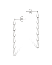 Winter Polished Drop Earrings