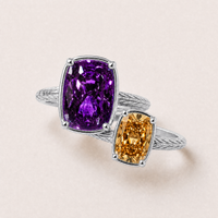 Minnesota Game Day Ring Stack