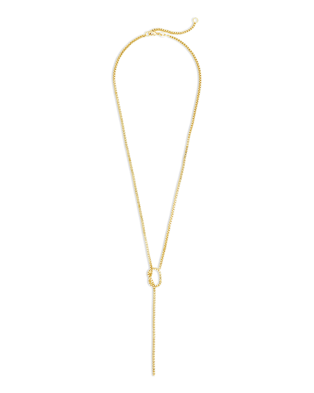 Aster Link Lariat Necklace