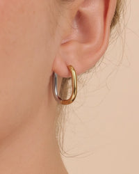 Dafne Dual Tone Oval Hoops