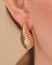 Vale Textured Stud Earrings