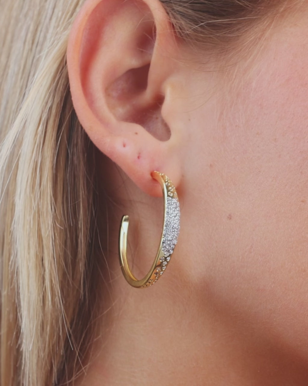 Cherise Pave CZ Hoop Earring