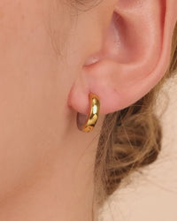 Francisca Dual Tone Thick Micro Hoops
