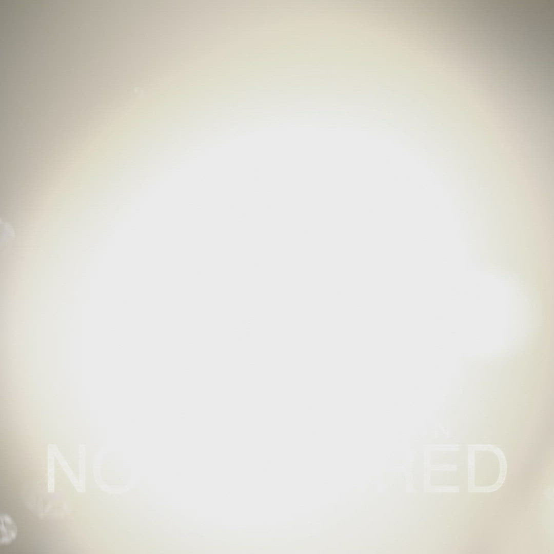white background image