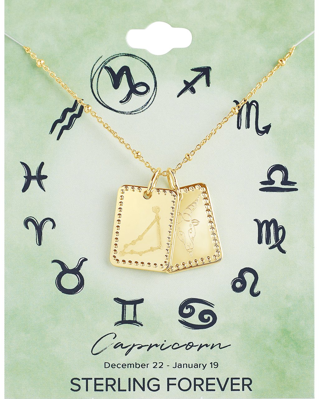 Zodiac Tag Necklace - Sterling Forever