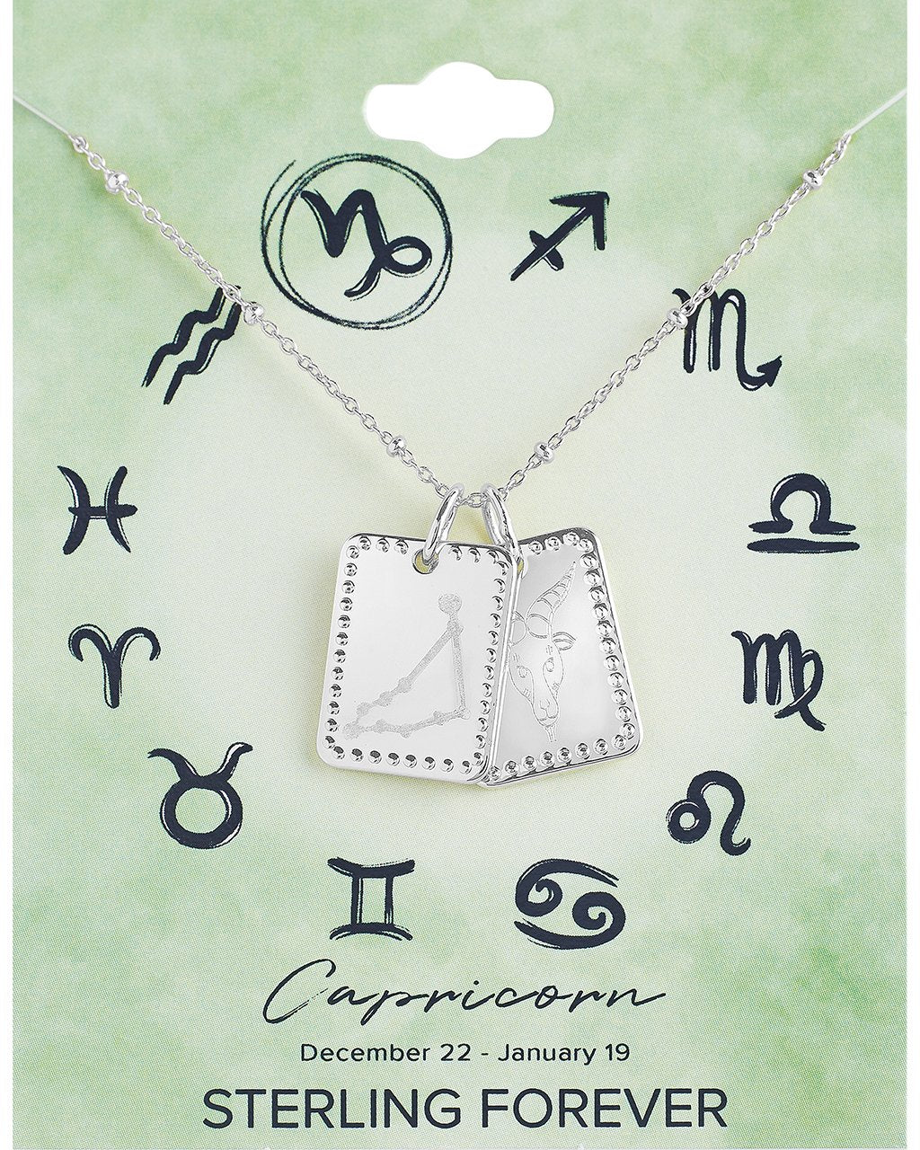Zodiac Tag Necklace - Sterling Forever