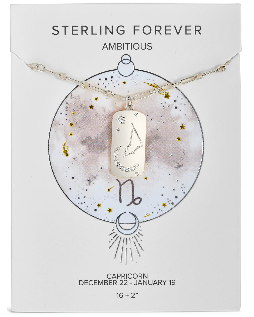 Constellation Dog Tag Necklace Necklace Sterling Forever Silver Capricorn (Dec 22 - Jan 19) 