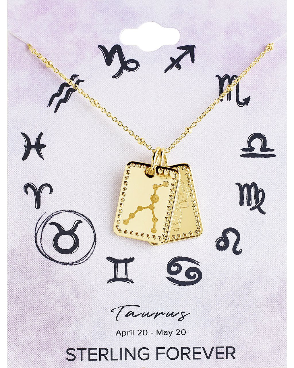 Zodiac Tag Necklace - Sterling Forever